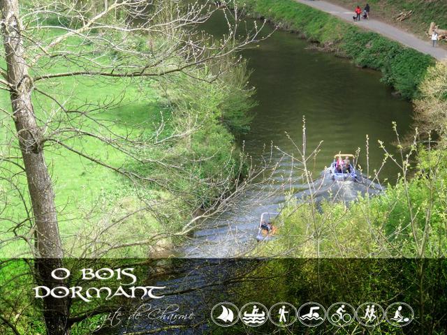 O Bois Dormant- Studio Vue Rance River Et Viaduc De Dinan Lanvallay Exteriör bild